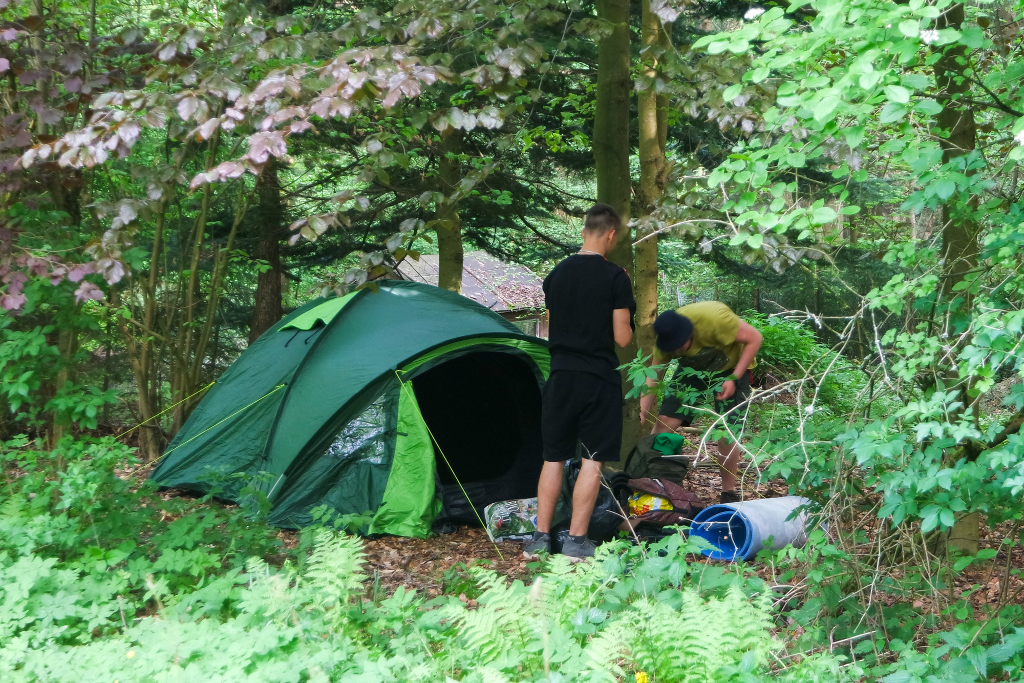 Jungen bauen ihr Zelt auf