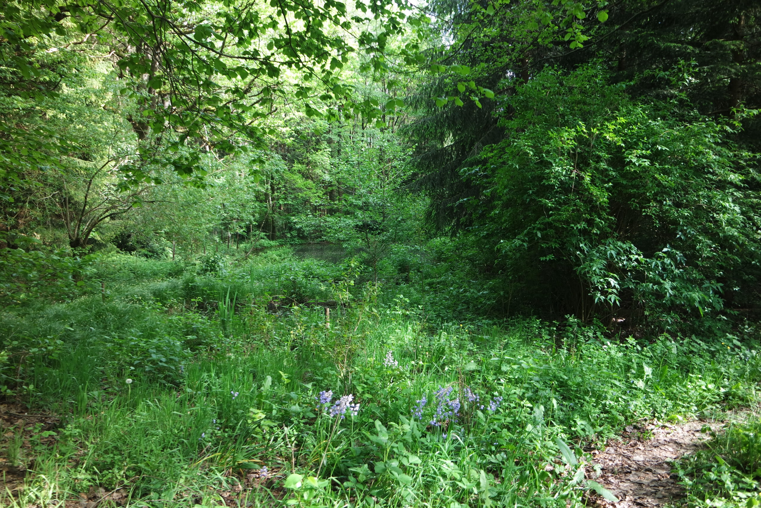 SAMSUNG CAMERA PICTURES